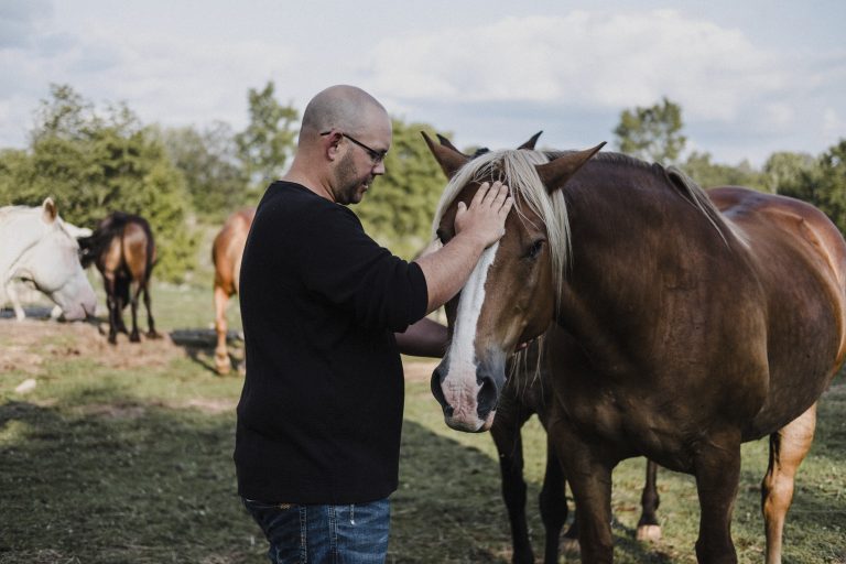 Man stroking horse